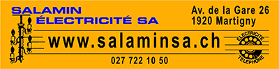 Logo Salamin Electricité